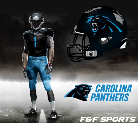 panthers-concept-2-v2.jpg?w=584